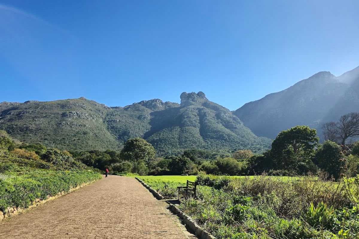 Kirstenbosch National Botanical Garden